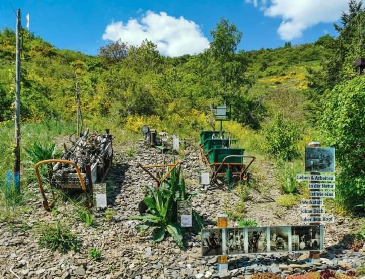 Ferienhaus Heimes Klotten Bagian luar foto