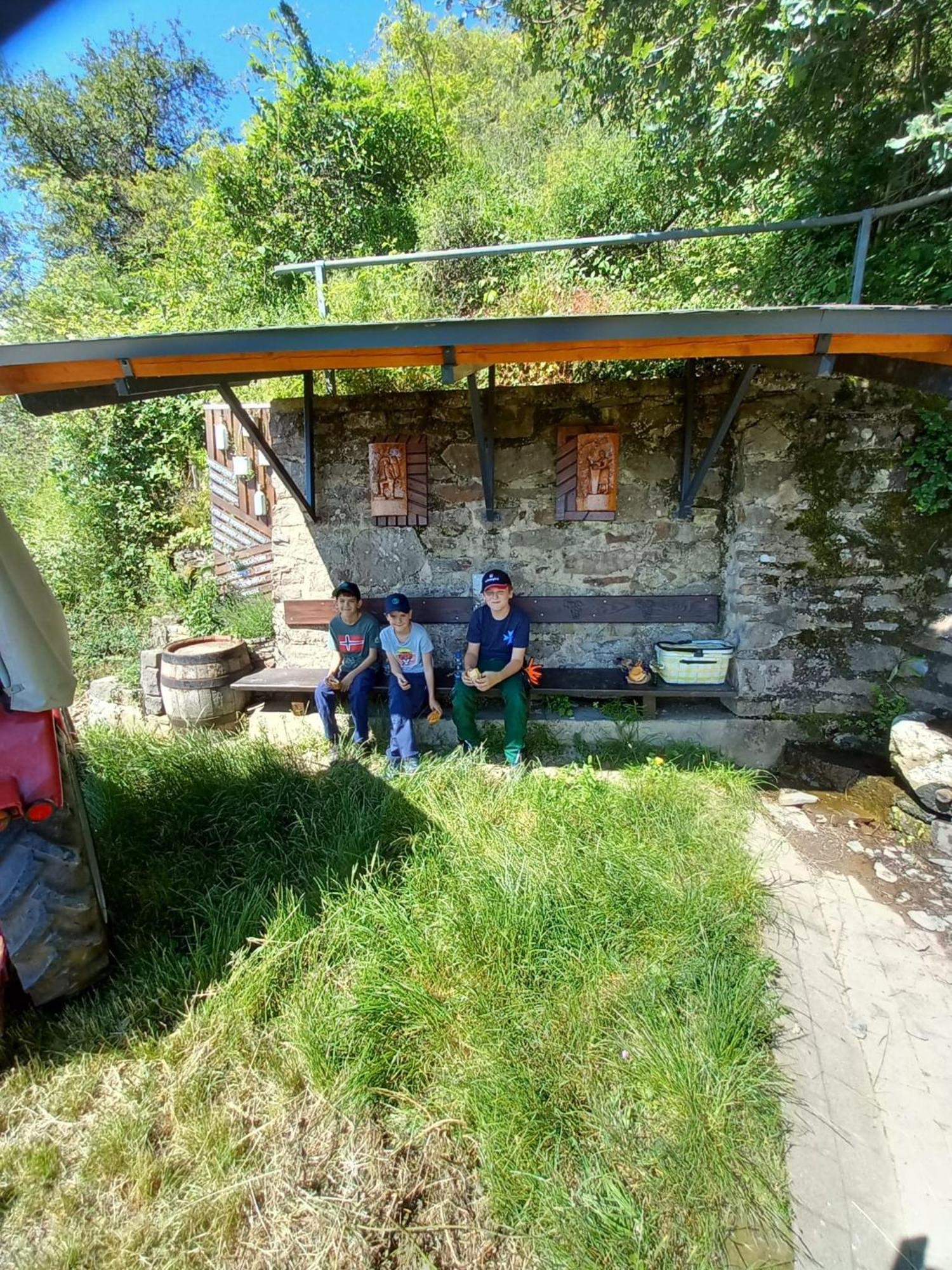 Ferienhaus Heimes Klotten Bagian luar foto