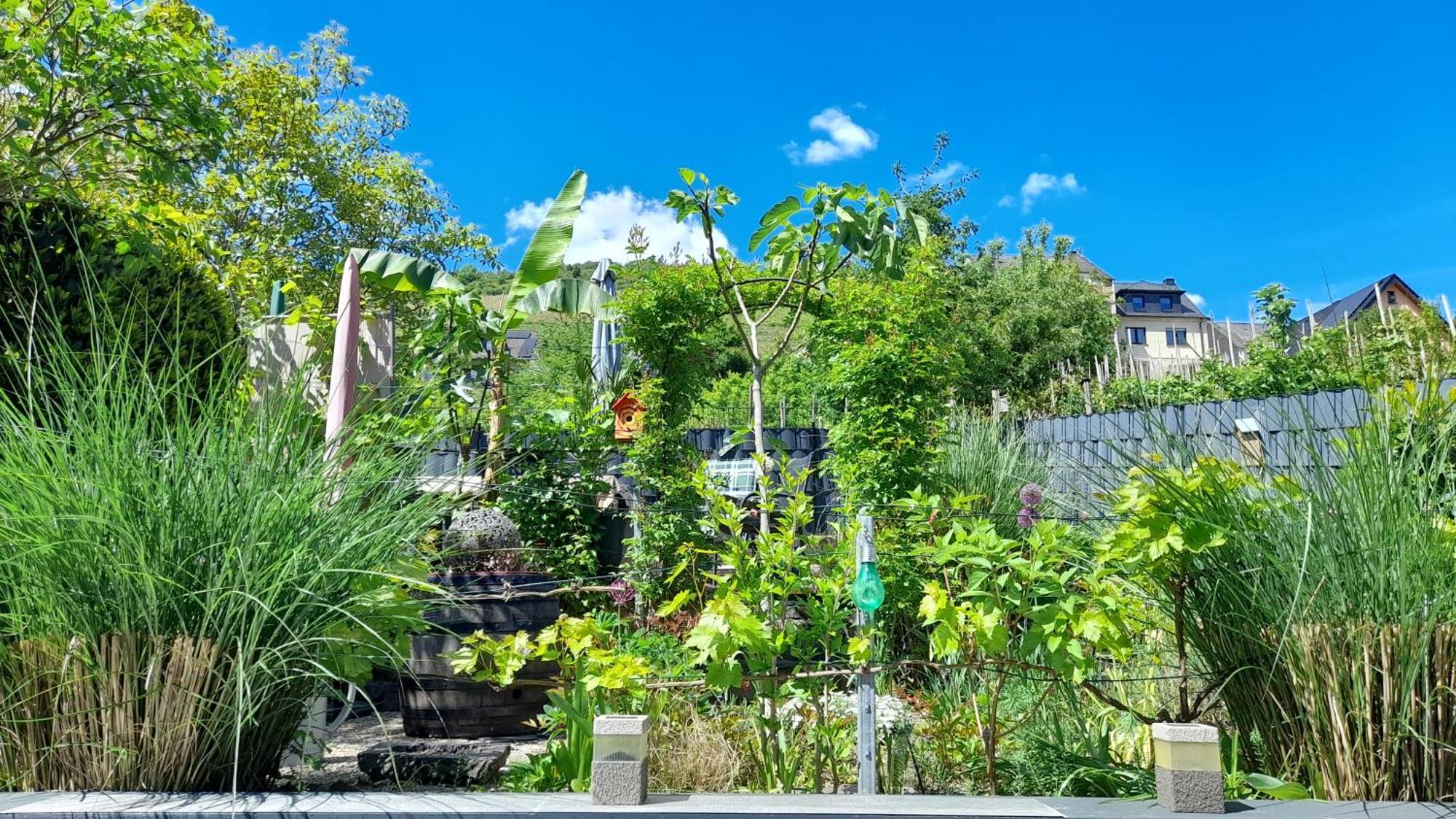 Ferienhaus Heimes Klotten Bagian luar foto